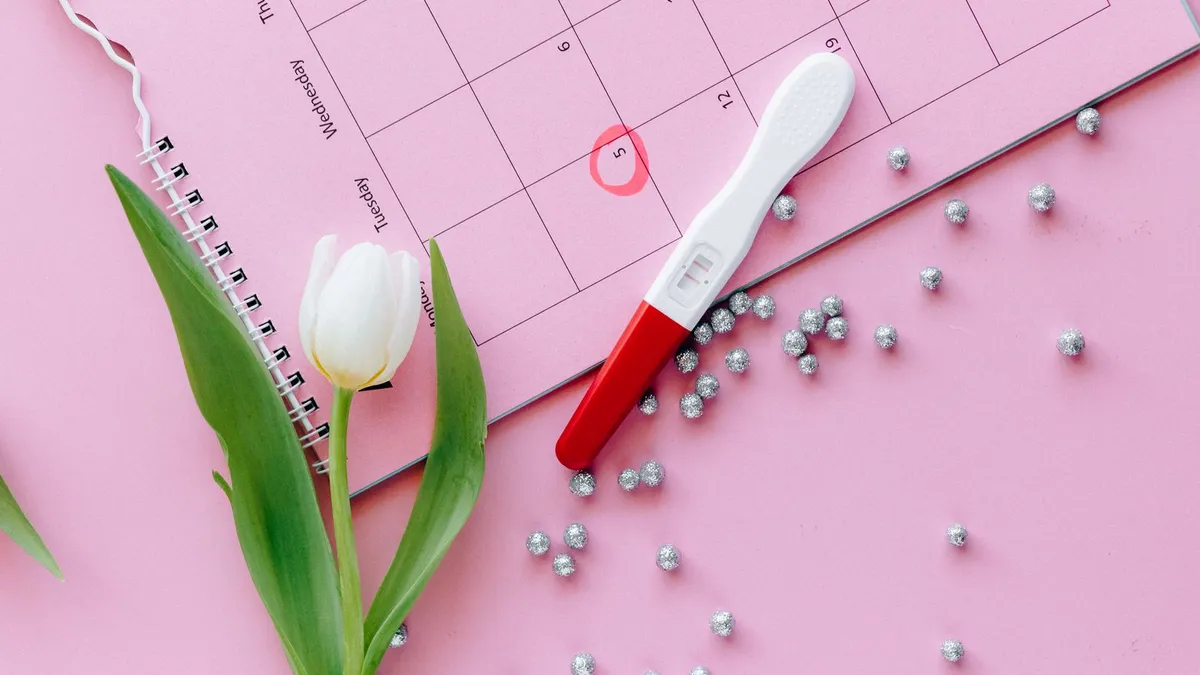 Test de grossesse posé sur un calendrier, une date entourée en rouge